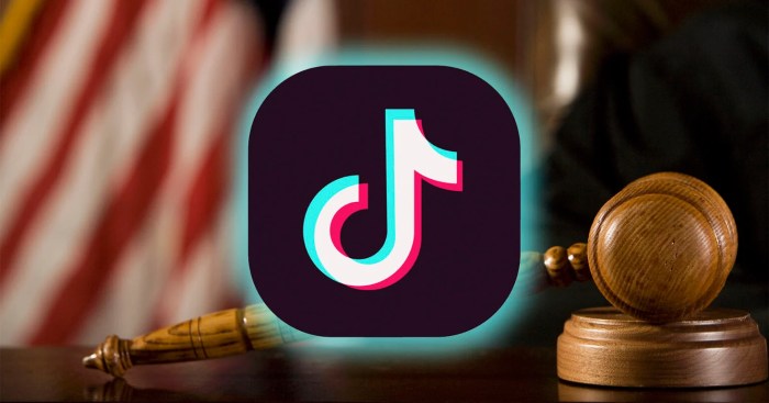 Tiktok india ban legislation government teens