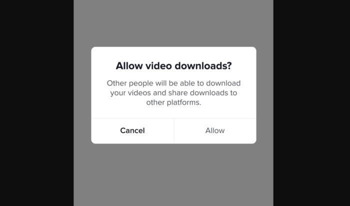 Tiktok young teen privacy restrictions default