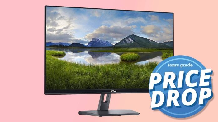 Best cheap dell monitor deals month year