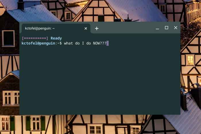 Putting linux your chromebook easier you think