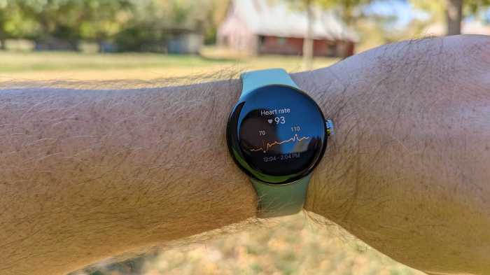 Google fit fitbit nest hub metrics