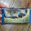 Galaxy note samsung them explosion risks officially phones recalled fire over owners consumer smartphones commission turn safety said should week
