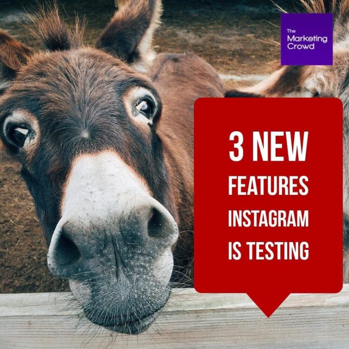 Instagram tests take break