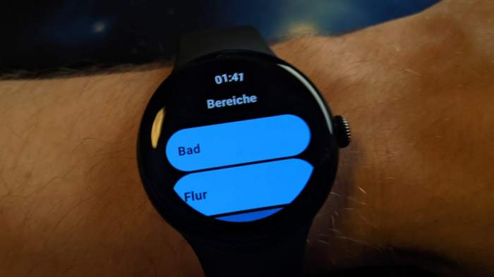 How to use google assistant on pixel watch