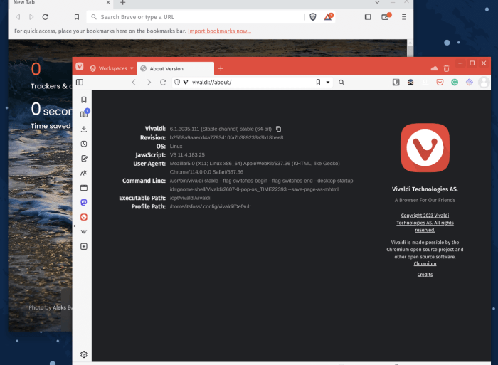 Brave browser choice chrome vivaldi replacement chromium