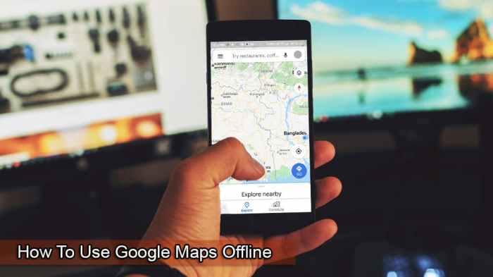 How use google maps offline