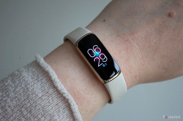 How factory reset your fitbit