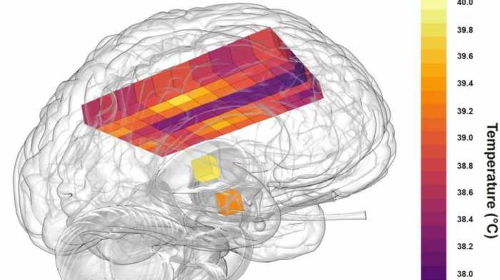 Lamborghini data track record biometrics heart rate ces
