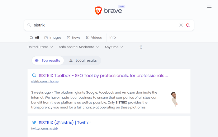 Brave search engine apply custom rankings filters goggles