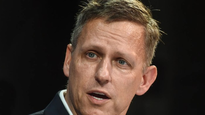 Peter thiel is the sea judge